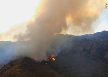 Incendio del Pico del Lobo 1.300 hectáreas arrasadas y las previsiones no son buenas