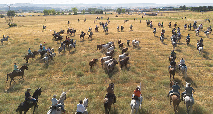 La Bajada 2025 en Yunquera reafirma su esencia con gran participación y emoción