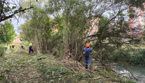 La CHT comienza los trabajos de conservación de cauces en la provincia de Guadalajara