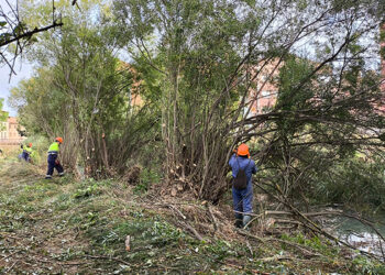 La CHT comienza los trabajos de conservación de cauces en la provincia de Guadalajara