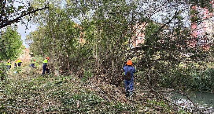La CHT comienza los trabajos de conservación de cauces en la provincia de Guadalajara