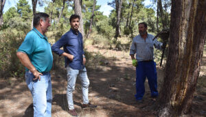 La Diputación de Cuenca apuesta por el mantenimiento del sector de la resina en la provincia con ayudas de 30.000 euros 15 La Diputación de Cuenca apuesta por el mantenimiento del sector de la resina en la provincia con ayudas de 30.000 euros