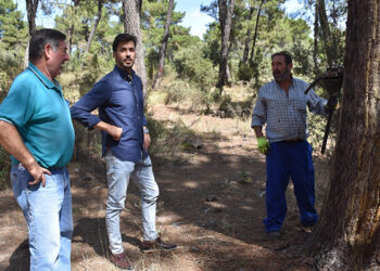 La Diputación de Cuenca apuesta por el mantenimiento del sector de la resina en la provincia con ayudas de 30.000 euros