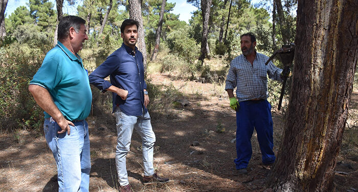 La Diputación de Cuenca apuesta por el mantenimiento del sector de la resina en la provincia con ayudas de 30.000 euros