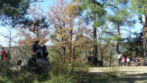 La Diputación de Cuenca destinará 33.500 euros en ayudas para proyectos de cooperación medio ambiental 2 La Diputación de Cuenca destinará 33.500 euros en ayudas para proyectos de cooperación medio ambiental