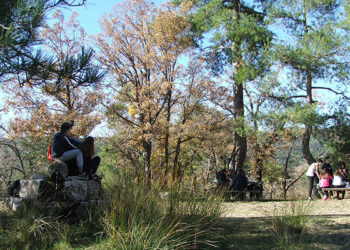 La Diputación de Cuenca destinará 33.500 euros en ayudas para proyectos de cooperación medio ambiental