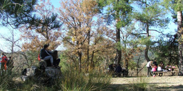 La Diputación de Cuenca destinará 33.500 euros en ayudas para proyectos de cooperación medio ambiental