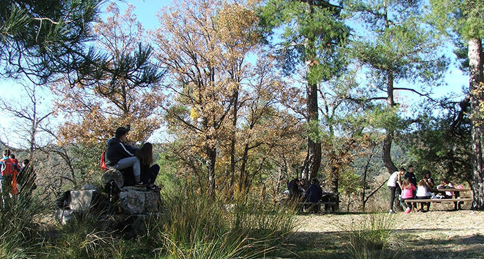 La Diputación de Cuenca destinará 33.500 euros en ayudas para proyectos de cooperación medio ambiental 1 La Diputación de Cuenca destinará 33.500 euros en ayudas para proyectos de cooperación medio ambiental