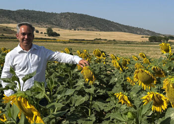 La Junta forma a más de 600 agricultores de Cuenca en el curso de girasol agroambiental de la PAC 2025