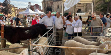 La Junta pondrá a disposición del sector ganadero 18 millones de euros en ayudas al bienestar animal para los próximos tres años