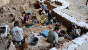 Los caballos más antiguos del linaje ibérico salen a la luz en las excavaciones de La Malia en Tamajón
