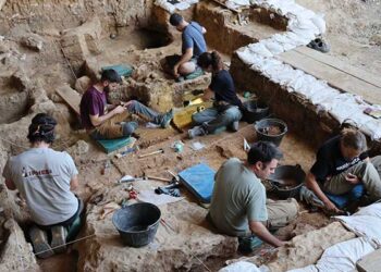 Los caballos más antiguos del linaje ibérico salen a la luz en las excavaciones de La Malia en Tamajón