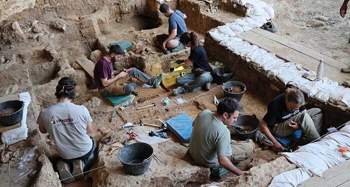 Los caballos más antiguos del linaje ibérico salen a la luz en las excavaciones de La Malia en Tamajón