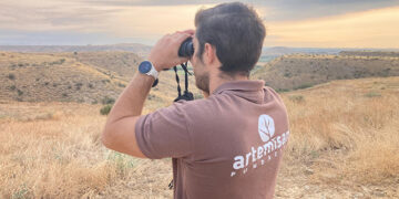 Los datos del sector cinegético entran a formar parte de los informes del MITECO sobre especies incluidas en las directivas europeas de Aves y Hábitat