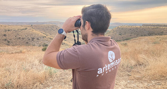 Los datos del sector cinegético entran a formar parte de los informes del MITECO sobre especies incluidas en las directivas europeas de Aves y Hábitat