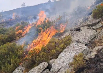Los vecinos de Cabida y Peñalba de la Sierra pueden volver a sus casas 3.000 hectáreas quemadas en el incendio del Pico del Lobo