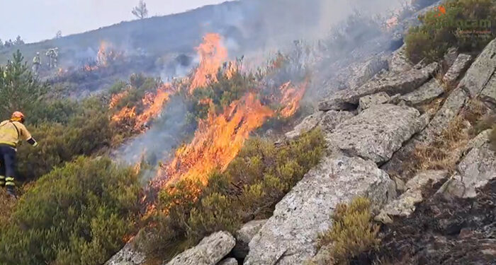 UGT denuncia que la planificación de la campaña de incendios se basa en un presupuesto y no en base a la situación climatológica y el riesgo de incendios 1 Los vecinos de Cabida y Peñalba de la Sierra pueden volver a sus casas 3.000 hectáreas quemadas en el incendio del Pico del Lobo