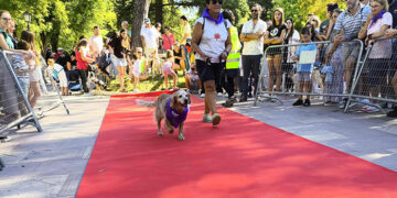 Mañana solidaria y familiar en el corazón de Guadalajara con el Desfile Perruno y la Fiesta Infantil PequeCongo