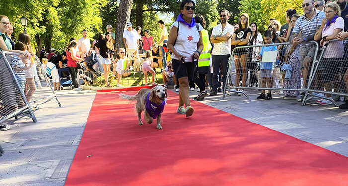 Mañana solidaria y familiar en el corazón de Guadalajara con el Desfile Perruno y la Fiesta Infantil PequeCongo