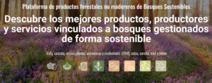 Nace la plataforma para la promoción de productos forestales no madereros