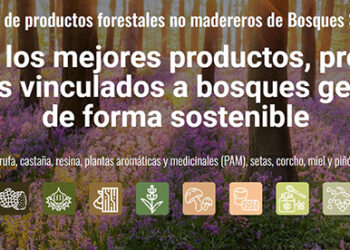 Nace la plataforma para la promoción de productos forestales no madereros