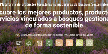 Nace la plataforma para la promoción de productos forestales no madereros