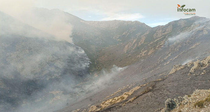 Quinto día del incendio del Pico del Lobo: 700 hectáreas quemadas y más de 200 personas intentanto controlarlo 1 Quinto día del incendio del Pico del Lobo 700 hectáreas quemadas y más de 200 personas intentanto controlarlo
