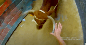 Recorte San Mateo. La Vaquilla de Cuenca YouTube Google Chrome