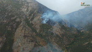 Un incendio forestal afecta al paraje del Pico del Lobo en Peñalba de la Sierra