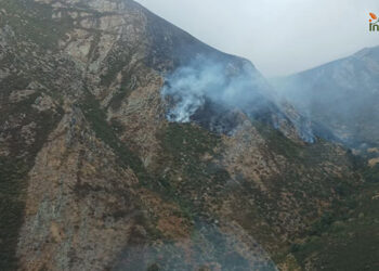Un incendio forestal afecta al paraje del Pico del Lobo en Peñalba de la Sierra