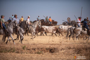 Yunquera de Henares celebra unas fiestas patronales intensas y participativas 2 Yunquera de Henares celebra unas fiestas patronales intensas y participativas