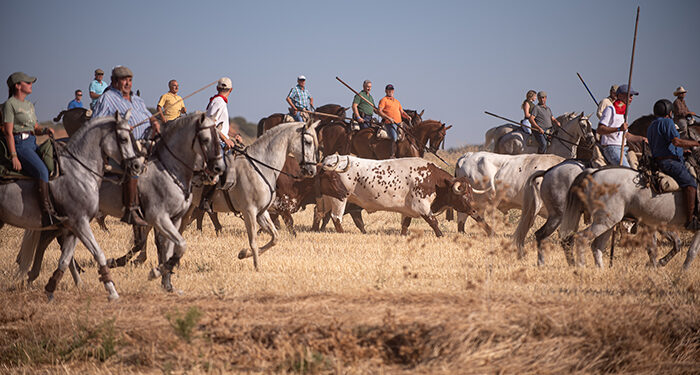 Yunquera de Henares celebra unas fiestas patronales intensas y participativas 1 Yunquera de Henares celebra unas fiestas patronales intensas y participativas