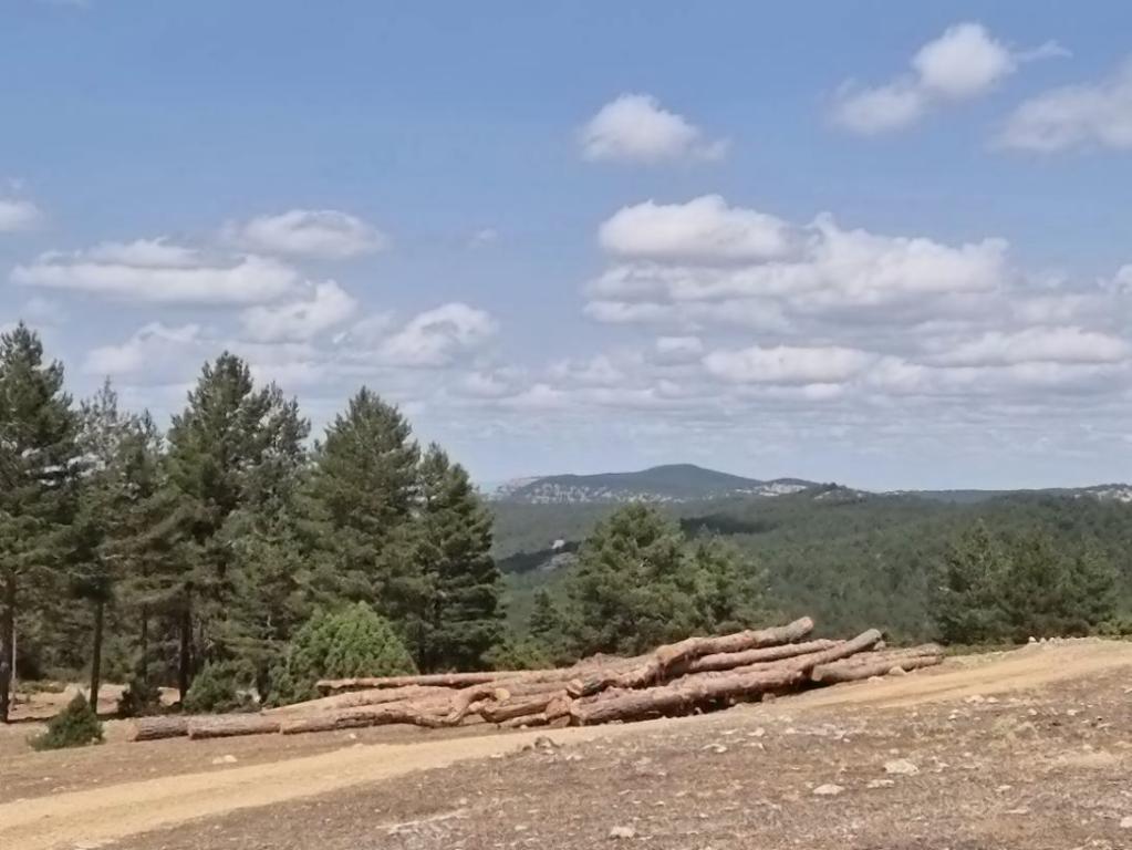 La Junta publica la convocatoria de ayudas para el fomento de agrupaciones de propietarios forestales privados por 200.000 euros La Junta publica la convocatoria de ayudas para el fomento de agrupaciones de propietarios forestales privados por 200.000 euros