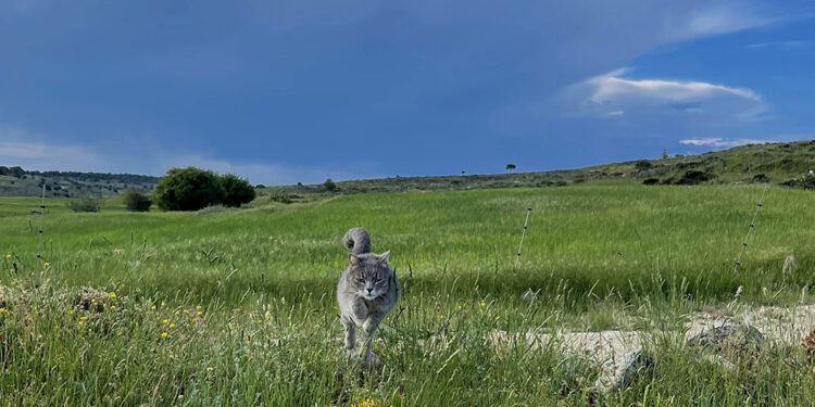El 6º Concurso de Fotografía “Las Fuentecillas” de Armallones ya tiene ganadores 1 El 6º Concurso de Fotografía “Las Fuentecillas” de Armallones ya tiene ganadores