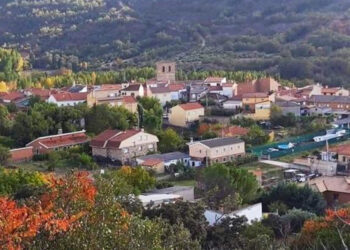 Abatido el toro que escapó en Romancos