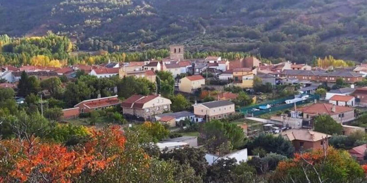 Abatido el toro que escapó en Romancos