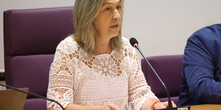 Ana Guarinos presenta un ambicioso paquete de propuestas en el Debate sobre el Estado de la Ciudad 1 Ana Guarinos presenta un ambicioso paquete de propuestas en el Debate sobre el Estado de la Ciudad