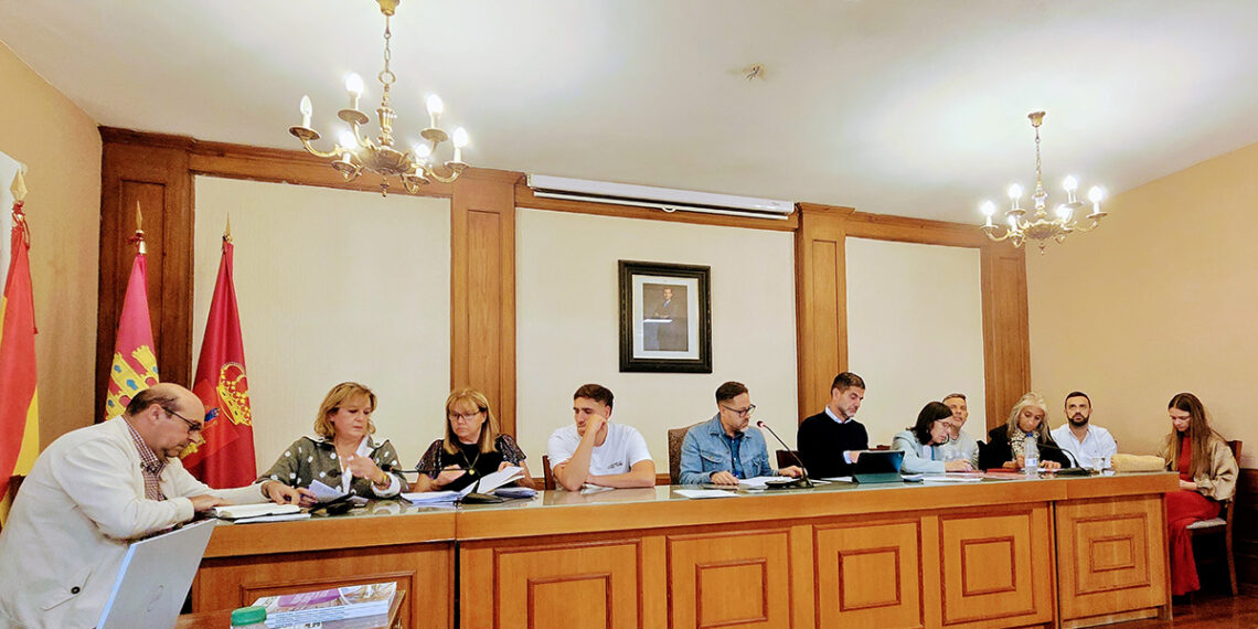 Brihuega optimiza el turismo de la lavanda con nuevas ordenanzas para el tráfico, los monumentos y los aparcamientos 2 Brihuega optimiza el turismo de la lavanda con nuevas ordenanzas para el tráfico, los monumentos y los aparcamientos