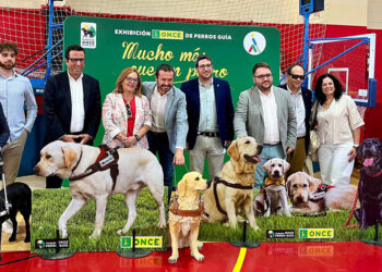 Cerca de 400 personas asisten a la exhibición de perros guía celebrada este jueves en Azuqueca