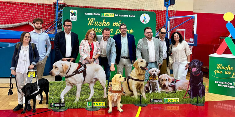 Cerca de 400 personas asisten a la exhibición de perros guía celebrada este jueves en Azuqueca 2 Cerca de 400 personas asisten a la exhibición de perros guía celebrada este jueves en Azuqueca