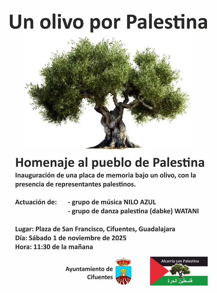 Cifuentes acogerá un homenaje al pueblo palestino con la plantación de un olivo centenario y la instalación de una placa conmemorativa 2 Cifuentes acogerá un homenaje al pueblo palestino con la plantación de un olivo centenario y la instalación de una placa conmemorativa