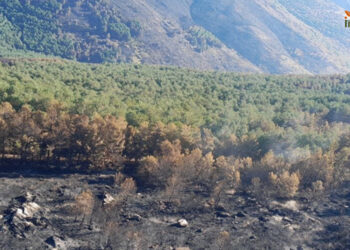 Controlado el incendio del Pico del Lobo tras 10 días y calcinar unas 3.000 hectáreas