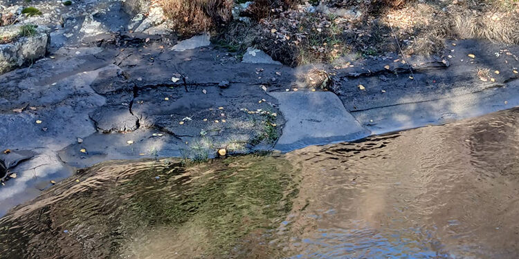 Ecologistas en Acción denuncia que las cenizas del incendio del Pico del Lobo contaminan el río Jarama