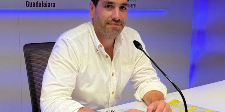 El Ayuntamiento de Guadalajara invertirá 70.000 euros para eliminar 38 puntos negros del alumbrado público