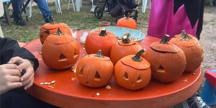 El Ayuntamiento de Tarancón celebra el Día de las Ánimas en los huertos urbanos