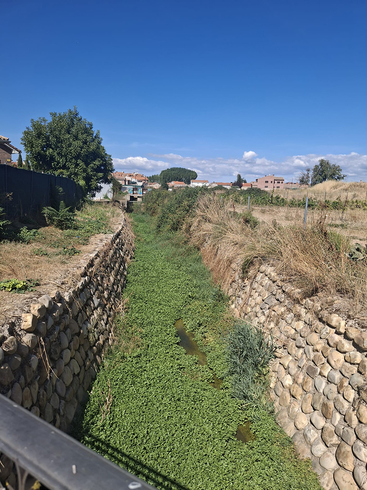 El Ayuntamiento de Yunquera muestra su malestar por la gestión del convenio de limpieza de cauces firmado entre la Diputación y la CHT 2 El Ayuntamiento de Yunquera muestra su malestar por la gestión del convenio de limpieza de cauces firmado entre la Diputación y la CHT