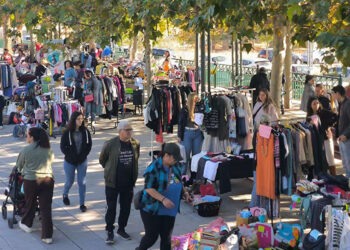 El Mercadillo de Segunda Mano de Cabanillas bate récords en su 15ª edición