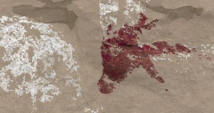 El Museo de Cuenca celebra el Día Europeo del Arte Rupestre 1 El Museo de Cuenca celebra el Día Europeo del Arte Rupestre