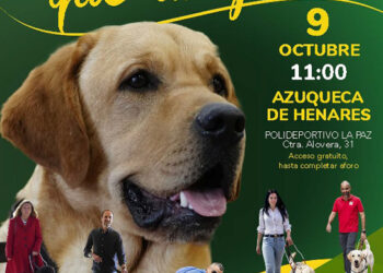 Exhibición de los perros guía de la ONCE en Azuqueca de Henares