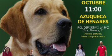 Exhibición de los perros guía de la ONCE en Azuqueca de Henares